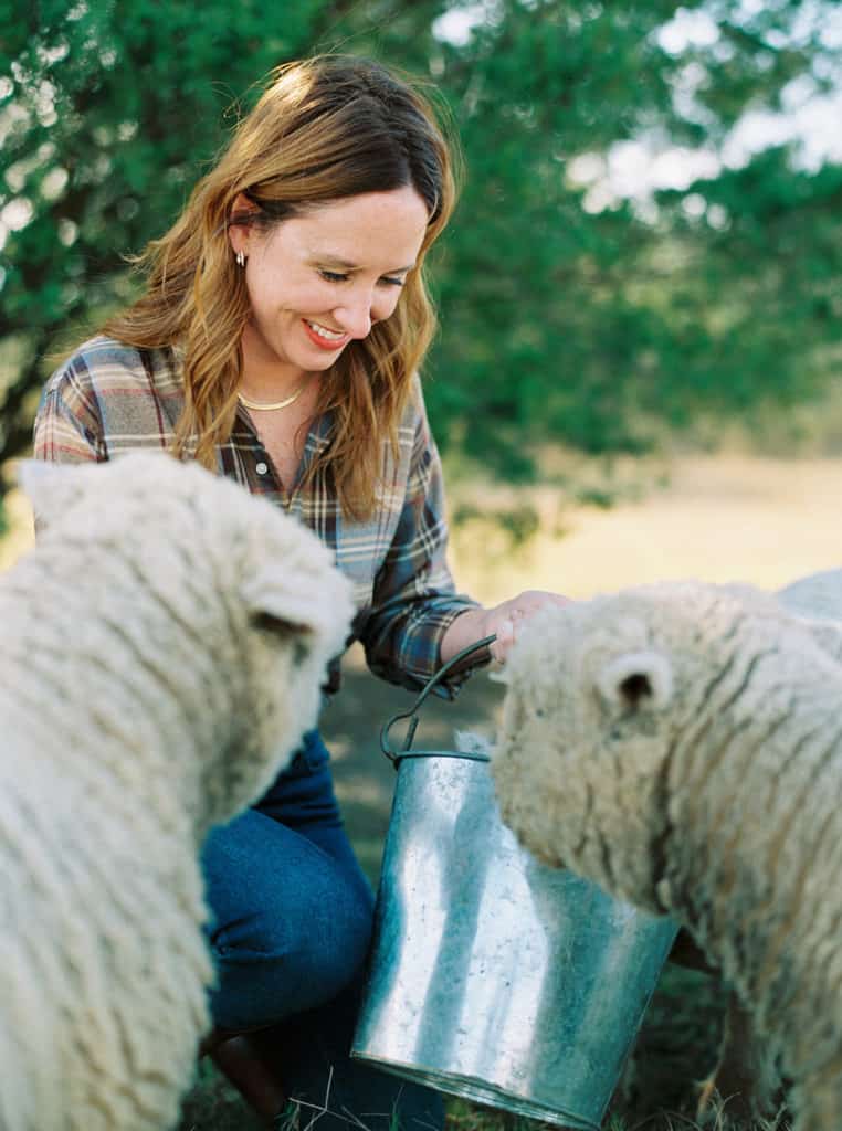 Should You Wash Your Babydoll Sheep? Learn more at katieoselvidge.com